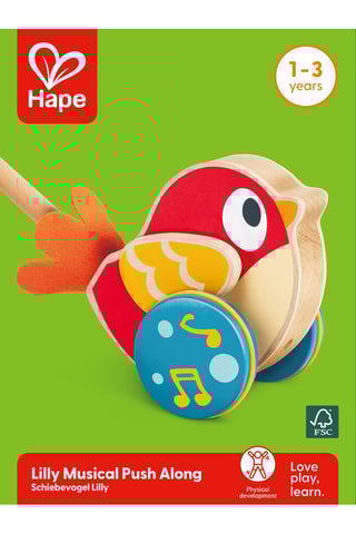 Pássaro musical de empurrar em faia - A partir dos 12 meses