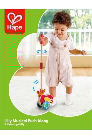 Pássaro musical de empurrar em faia - A partir dos 12 meses