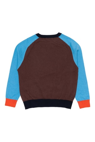 Camisola - Castanho e azul - Azul e castanho