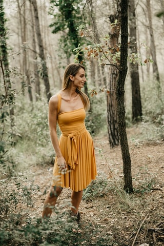 Top annodato - Senape