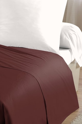 Lenzuolo sopra in cotone 57 fili/cm² - Marrone