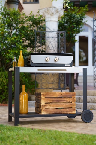 Plancha électrique 260 Duo - 122,5 x 51 x 123,5 cm - 3,5 kW