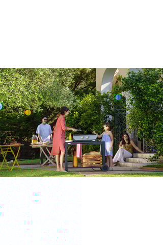 Plancha électrique 260 Duo - 122,5 x 51 x 123,5 cm - 3,5 kW