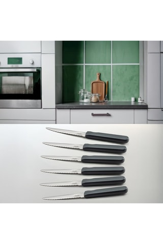 6 Roestvrijstalen Vleesmessen Energy - 21,3 cm