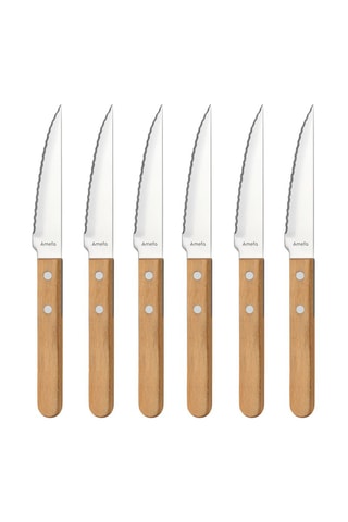 6 Roestvrij Stalen en Pakkahouten Messen 10,5 cm