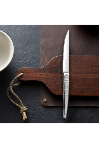 6 Roestvrijstalen Vleesmessen Jet Styl