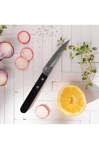 6 Roestvrij Stalen en Pakkahouten Messen  10,5 cm