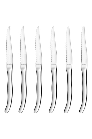 6 Roestvrijstalen Vleesmessen Virgule
