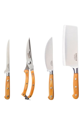 Snijset 4 Roestvrijstalen Delen Essentiel