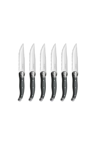 6 Roestvrijstalen Steakmessen Tradition BBQ - 24 cm