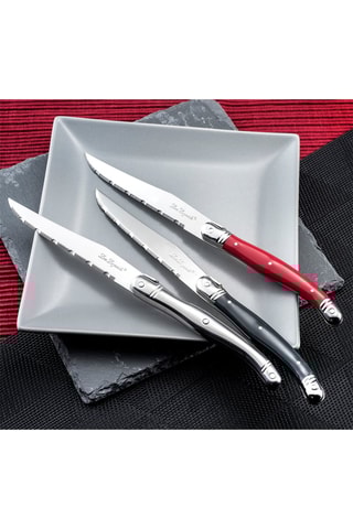 6 Roestvrijstalen Steakmessen Tradition BBQ - 24 cm