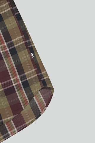 Camicia in cotone bio Cohen - Kaki e blu