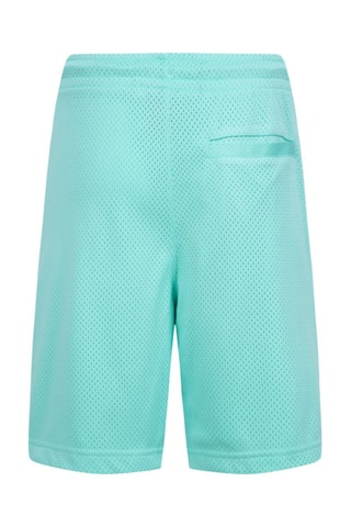 Short - Jordan - Vert