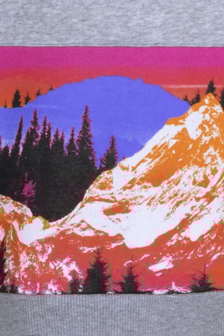 Sweat molletonné à capuche - Gris