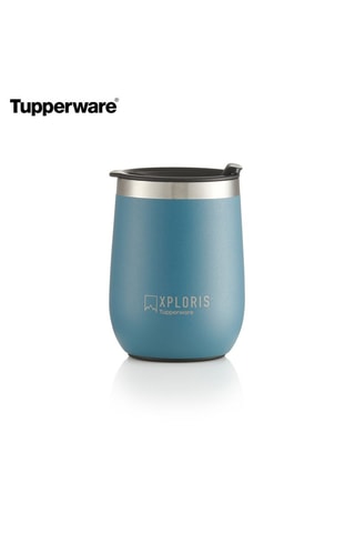 Gourde Xploris en acier inoxydable - 230 ml