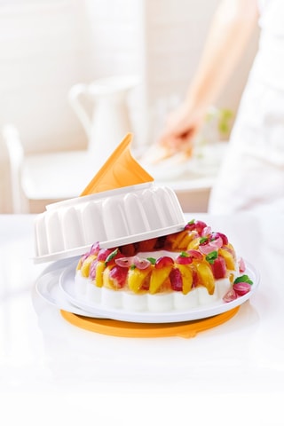 Moule à gelée - 24 x 8,3 cm