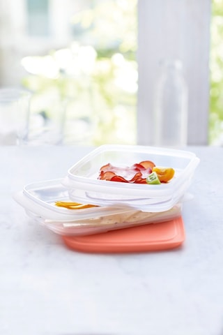 2 boîtes de conservation EmpilOfrais - 790 ml