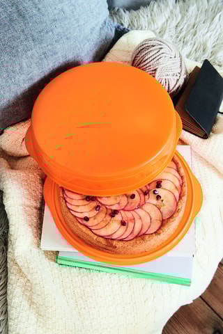 Boîte de conservation - 8,4 x 30,7 cm