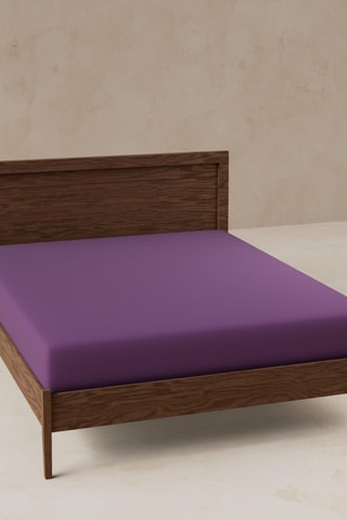 Lenzuolo sotto - Viola