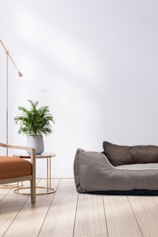 Lettino per animali - Marrone - 65 x 50 x 20 cm