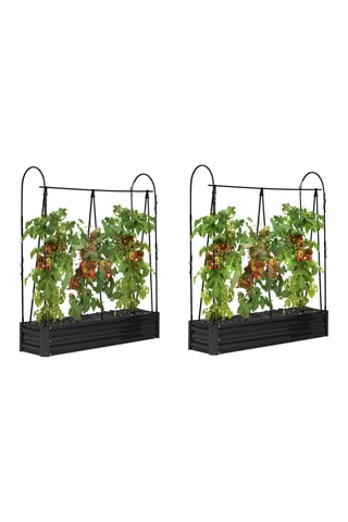 2 serres de potager tomates - 115 x 30 x 128 cm