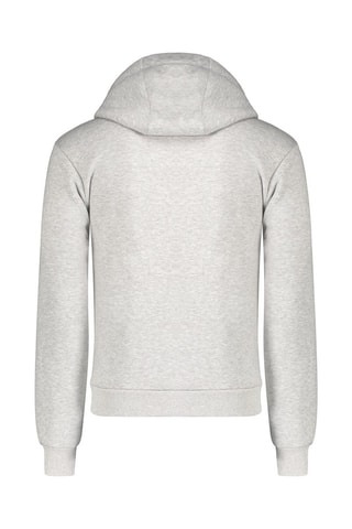 Sweater met Capuchon Ginameak - Grijs