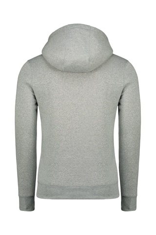 Sweater met Capuchon Gadreak - Grijs