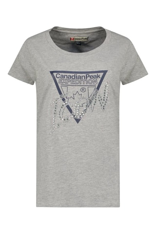 T-shirt Jalimeak - Blauw en grijs