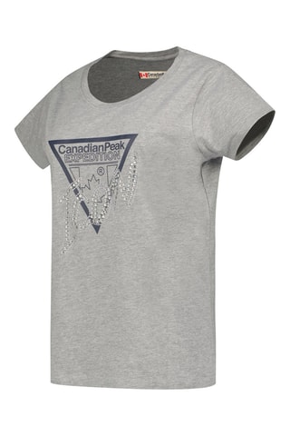 T-shirt Jalimeak - Blauw en grijs