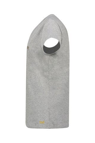 T-shirt Jefolleak - Grijs