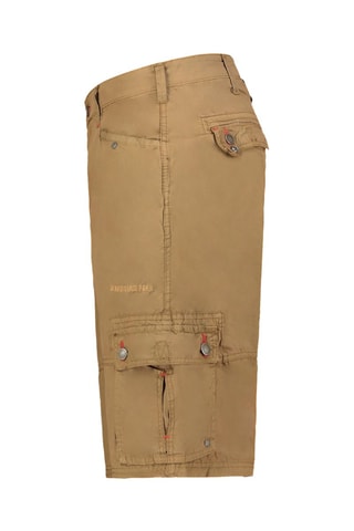 Bermuda Palmdeak - Rood, groen en grijs