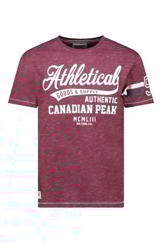 T-shirts - Bordeauxrood