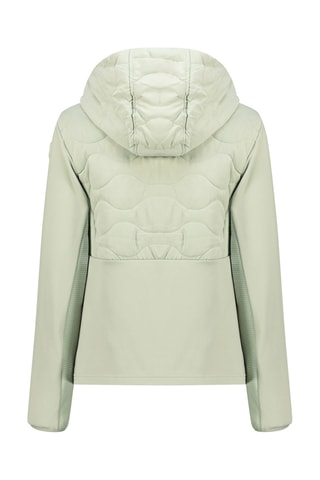 Jasje Softshell Tigneseak - Groen