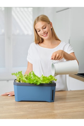 Set Zaaigoed - Deksel meegeleverd.