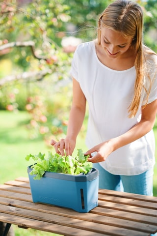 Set Zaaigoed - Deksel meegeleverd.