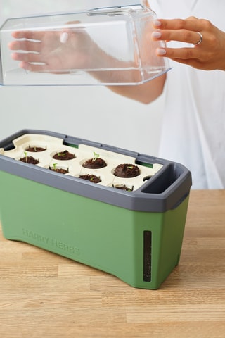 Set Zaaigoed - Aromatische Kruiden