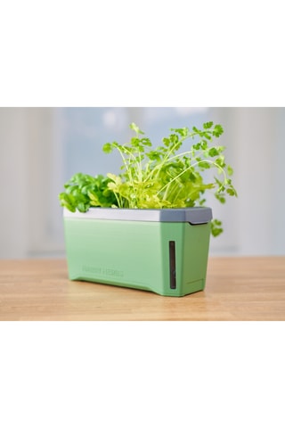 Set Zaaigoed - Aromatische Kruiden