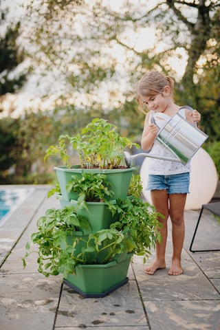 Plantentoren - Aardappels - 4 hoogtes.