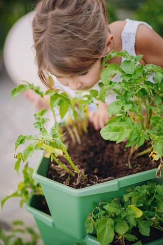 Plantentoren - Aardappels - 4 hoogtes.