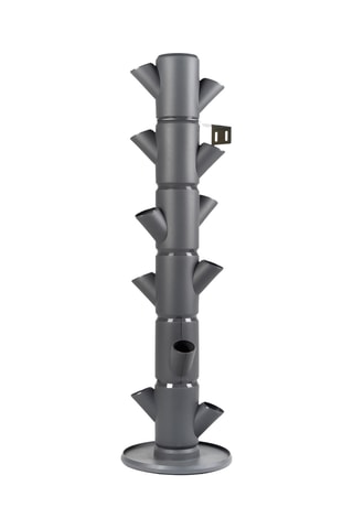 Set Zaaigoed - Aardbeien - 6 hoogtes.