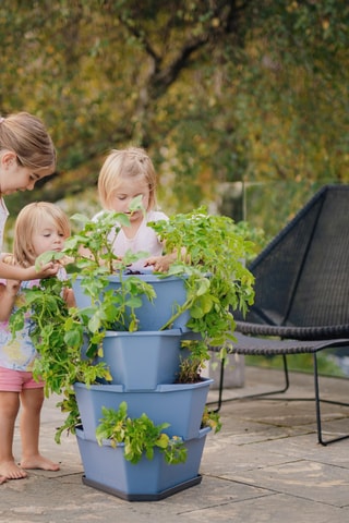 Plantentoren - Aardappels - 4 hoogtes.