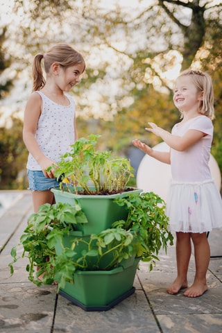 Plantentoren - Aardappels - 3 hoogtes.