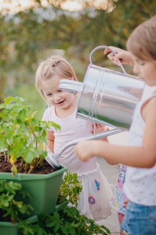 Plantentoren - Aardappels - 3 hoogtes.