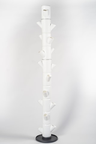 Set Zaaigoed - Aardbeien - 10 hoogtes.