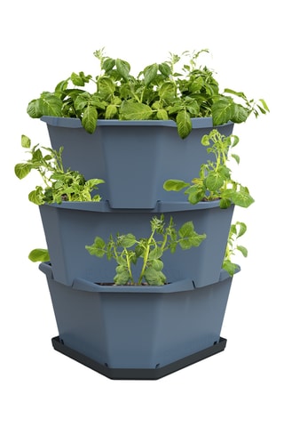 Plantentoren - Aardappels - 3 hoogtes.