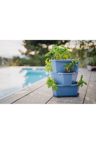 Plantentoren - Aardappels - 3 hoogtes.