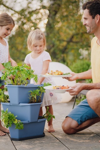 Plantentoren - Aardappels - 3 hoogtes.