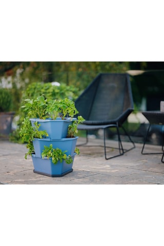 Plantentoren - Aardappels - 3 hoogtes.