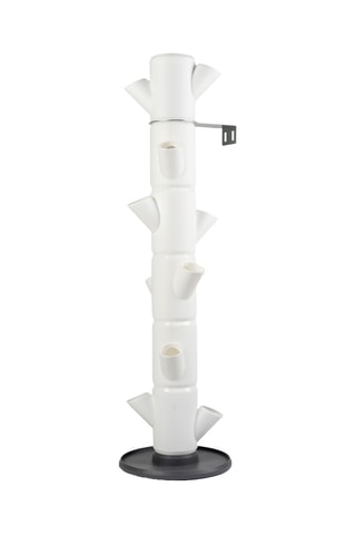 Set Zaaigoed - Aardbeien - 6 hoogtes.