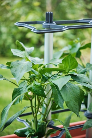 Klimplantenhouder - 33,6 x 19,4 x 64,4 cm